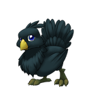 black chocobo