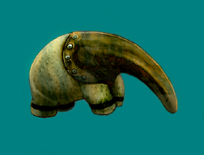 skibvment.png